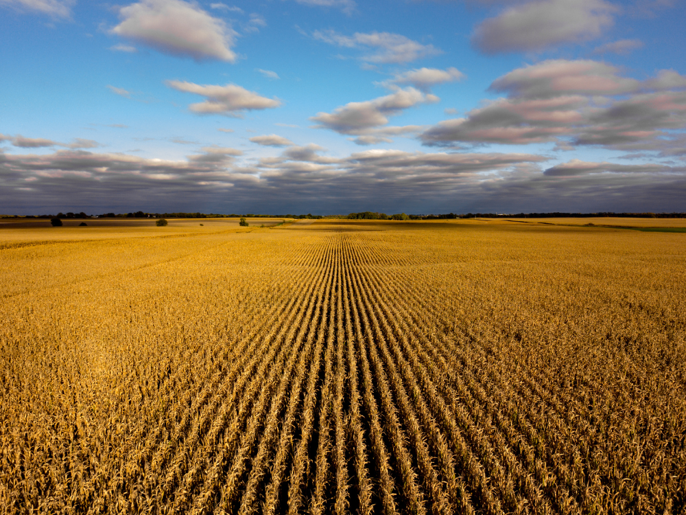 CO2 Pipelines In Nebraska Benefit Everyone - Farmers Fuel Life - Our ...